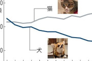 猫を飼う人が増加、一方で犬を飼う人は減少へ（※画像あり）