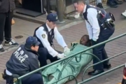 【動画】日本の警察ヤバい、黒人を突然路上に転がし巻き寿司にするwww