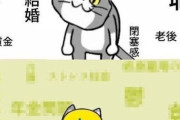 現場猫「保護帽、ヨシ！」