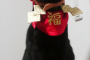 【画像】 猫神様