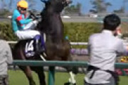 【動画】「高松宮記念」ダイアトニックの返し馬で観客が怒声 ⇒ 大暴れし14着の結果に怒りの声が噴出