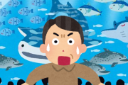 今日水族館に行ったらリュック背負ったおっさんが一人で来ていてワロッタw