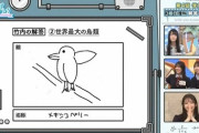 【日向坂46】ひなあい学力テスト、前半戦から珍回答続出