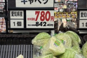 【衝撃】世間「キャベツ高すぎ…白菜高すぎ…」   ワイ（田舎在住）「どうせ350円前後やろ？」→