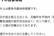 【悲報】熊が一度に12匹現れる　秋田県鹿角市