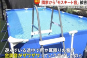 プール音ｖｓモスキート音　隣の家のプール騒音に対してモスキート音で対抗した結果　プール家族４人が救急搬送される　ただの熱中症疑惑もありどっちが悪いのか議論に
