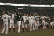 ロッテ日本人選手の年俸がこちら(Bランクまで)