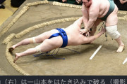 このお相撲さんの試合画像を見て何か一言下さい