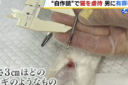 「撃った猫は食べるつもりだった」自作した空気銃で虐待…男に懲役1年6か月、執行猶予3年の有罪判決！