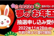 【悲報】ヨドバシ夢のお年玉箱2023 、 、受付開始！今回も「プレイステーションの夢」はナシ！！