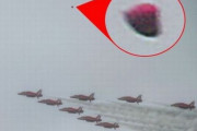 チャールズ国王の戴冠式、イギリス空軍のアクロバットチーム「レッドアローズ」の近くに奇妙な飛行物体？