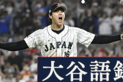 【炎上】ツイ民「球投げ遊びするだけの大谷が1年でサラリーマン20人分の生涯年収を稼ぐのは狂ってる」