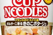【画像】カップヌードルの新作美味しかったよ?