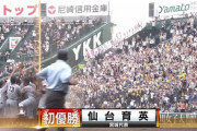 甲子園決勝の視聴率13％！過去の視聴率は…