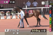 マカヒキさんの次走