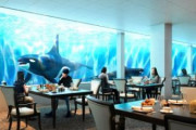 神戸の須磨海浜水族園、シャチ眺めながら飲食できるレストラン開設