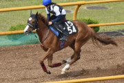 今村聖奈、初めての函館で調教騎乗　騎乗停止中も意欲的に技術磨く