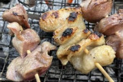 (´･ω･`)みんな～　庶民庭で焼き鳥するよ～