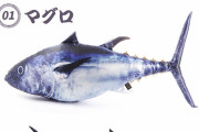 【画像】このツナのクッションが欲しいんだがｗｗｗｗｗｗｗｗｗｗｗｗｗｗｗｗｗｗｗｗｗｗｗｗｗｗｗｗｗｗｗｗｗｗｗ
