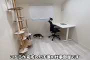 【勤勉】もちまる日記の飼い主、まだ普通に働いていた！！