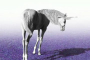 【衝撃】ユニコーンが絶滅した理由、しょうもなさすぎるｗｗｗｗｗ
