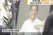 お前らが安倍元首相の国葬に反対してる本当の理由って何？