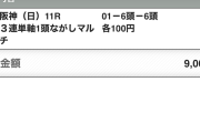 【宝塚記念】ベラジオオペラ←この馬に言いたい事　他