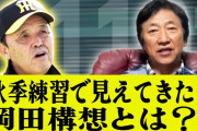 阪神・糸原の秋季キャンプ不在は「異様な感じ」　球団OB持論「戦力として考えるのであれば...」