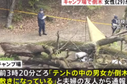 キャンプ場で寝ていた夫婦が死傷した倒木の原因が判明