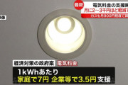 政府、家庭の電気代を2割軽減へ