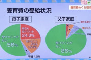 【悲報】養育費ゼロの母子家庭、なんと56%もいた模様wwwwwwwwwwwwwwwww