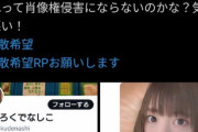 【悲報】女の子、おっさんがSNSで自分の顔を勝手にアイコンにしているとブチ切れ→おっさんが自撮りをアプリで加工した画像と女の子がそっくりだっただけと判明