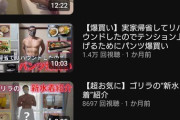 【画像】父親「よーしパパ、YouTuberになるぞー！」←結果