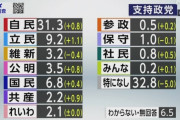 参議院選挙　125議席を争う　どこに投票する？  [3/9]