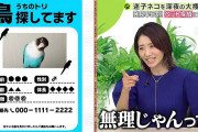 【炎上】眞鍋かおりさん、迷子の鳥を探すチラシに対して「無理じゃんw」と嘲笑し炎上
