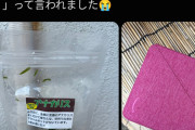【悲報】X民「ペットショップで水草買ってリュックに入れたら水が漏れてタブレット壊れた。弁償しろ」