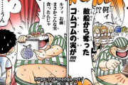 ワンピース「実はゴムゴムの実は悪魔の実を超えた悪魔の実でした」←なんだよこのクソ展開