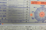 【画像】ワイの『運転適正検査』の結果、ガチでヤバイｗｗｗｗｗ