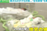 子ども“2人目の壁”に家の狭さ 異次元の少子化対策、住宅支援の議論に「“現役世代対策”に切り替えて」
