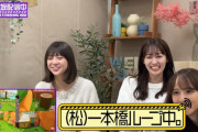 延々と一本橋を渡れない松尾美佑ちゃんワロタｗｗｗ【乃木坂46】