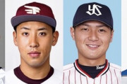 今井達也、藤平尚真、寺島成輝、堀瑞輝←この世代