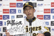 あの日以前の阪神タイガース「1勝15敗1分」
