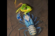 【世界よ、これが豪州だ】なんかカラフルなカエルが水色のザリガニに捕食される光景が撮影される　オーストラリア国民も驚き（動画あり）