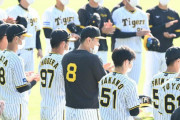【爆笑】阪神タイガースキャンプに観客2000人wｗｗｗｗｗｗ