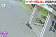 【クマ】クマが中学校に進入　副校長がクマの前に立ちはだかりにらみ合い、生徒守る　岩手県滝沢市