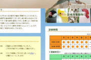 彡(ﾟ)(ﾟ) 「インコが体調崩したときに良さげな病院見つけたから電話したら架空サイトだった」