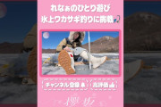 【動画】【⬆️本編はコチラ⬆️】れなぁのソロ氷上ワカサギ釣り！ポツンと挑戦！🎣【ダイジェスト 】#shorts #櫻坂チャンネル