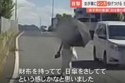 【鳥取】交差点に日傘をさしながら車に向かってレンガ投げつけてくる女が出現