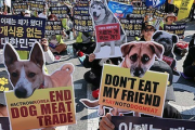 【速報】韓国の犬食文化終了　飼育段階から全面禁止「殺せば3年以下の懲役または328万円以下の罰金」