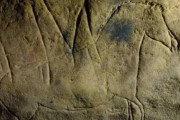 【古代文明】15000年前に描かれた羽のある馬と謎の多肢生物の岩絵がスペイン・カタロニアで発見される